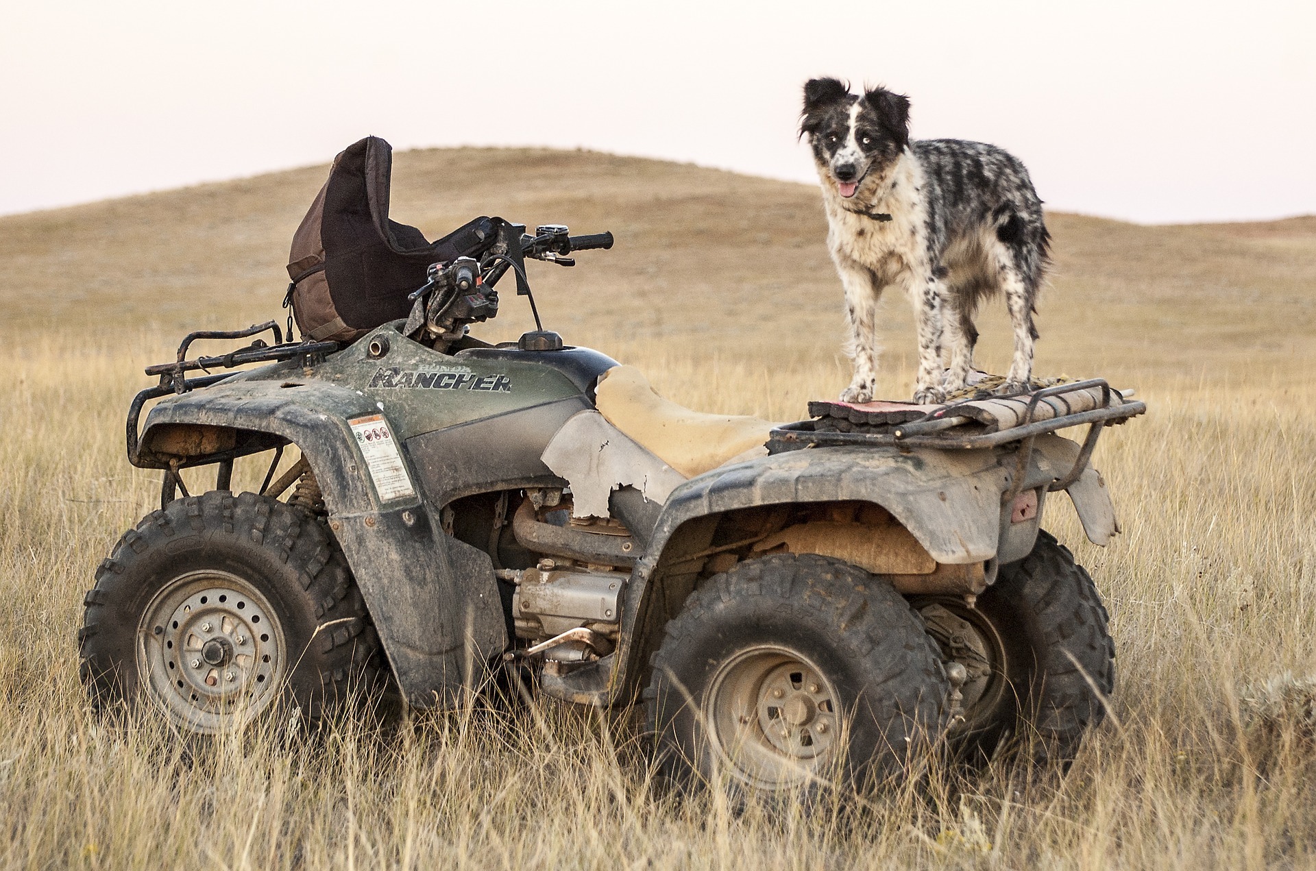 ATV Adventures Off-Roading In Boise Idaho